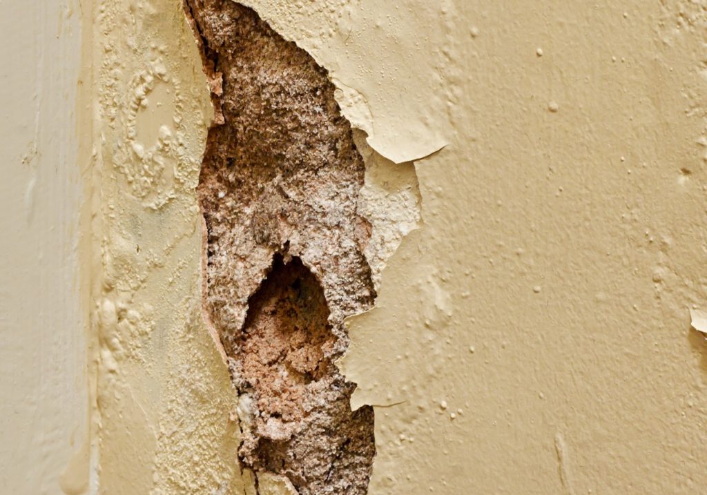 The Science Behind Damp: How Moisture Affects Your Home