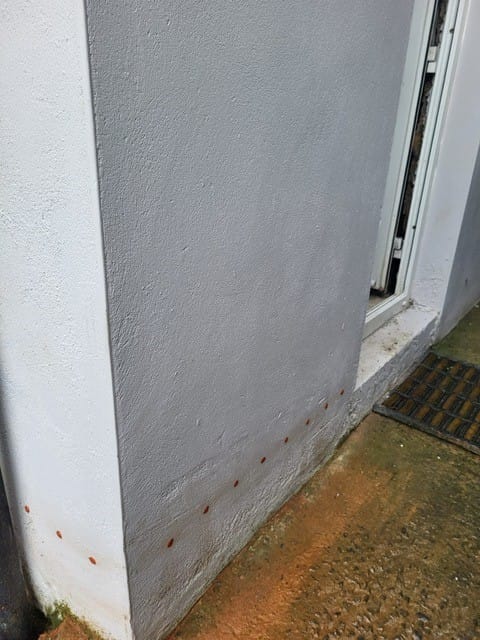 Success Story: How Damp Works NI Solved a Chronic Damp Problem