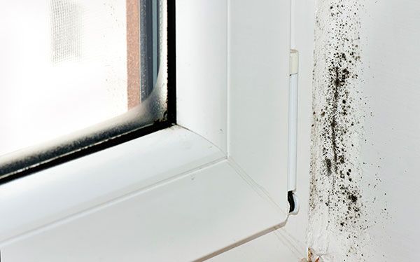 The Science Behind Damp: How Moisture Affects Your Home