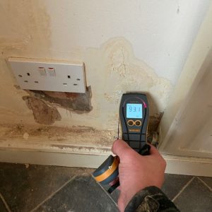 The Basics of Damp Proofing: What Every Homeowner Should Know - Damp ...